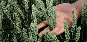 Vi bager for et bedre klima